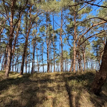 Morze Wygody Międzywodzie