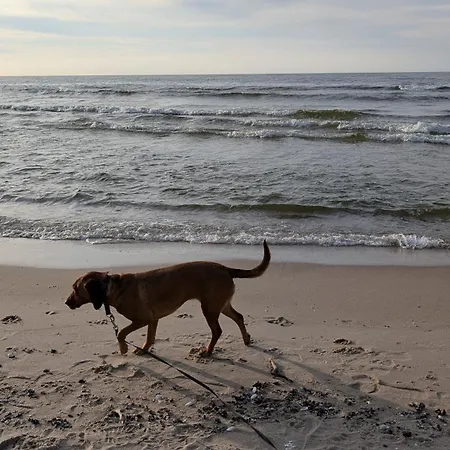 Morze Wygody * Międzywodzie