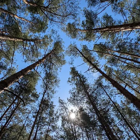 Morze Wygody Międzywodzie