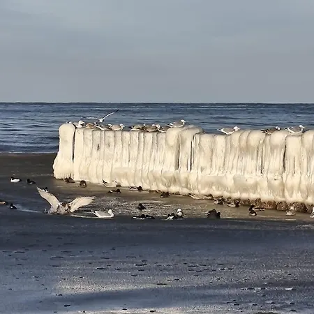 Διαμέρισμα Morze Wygody Międzywodzie