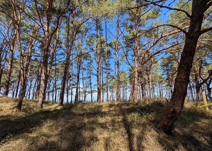 Morze Wygody Мендзыводзе