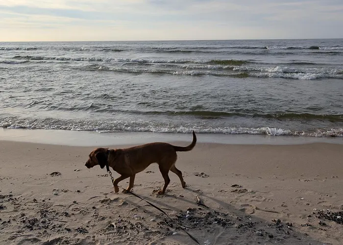 Morze Wygody * Międzywodzie