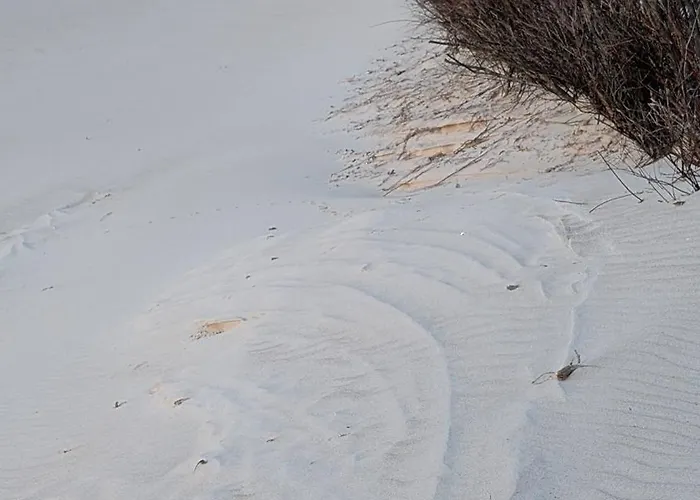 Morze Wygody Apartment