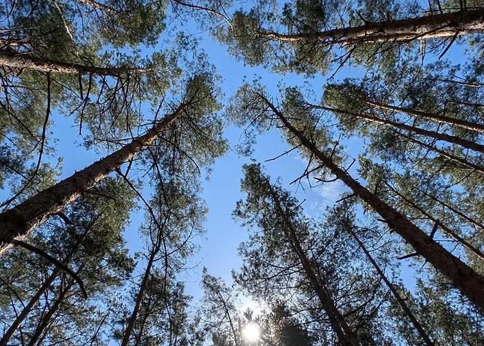 Morze Wygody Мендзыводзе