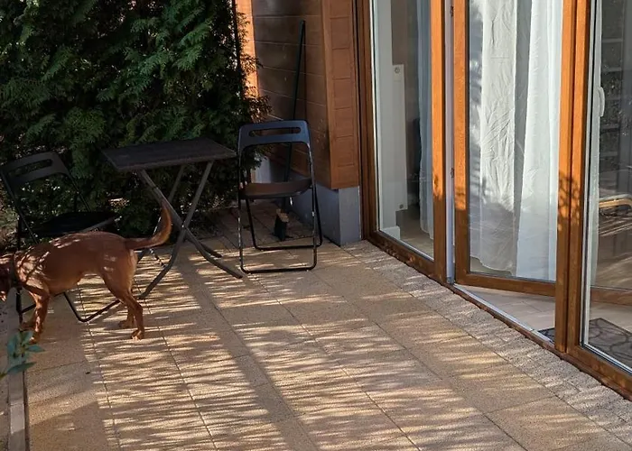 Morze Wygody Апартаменты