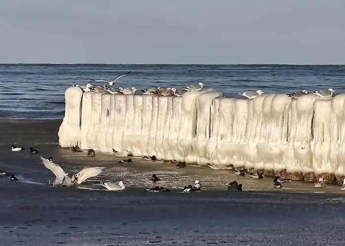 Apartment Morze Wygody Międzywodzie